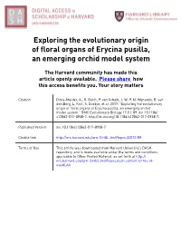 Exploring the Evolutionary Origin of Floral Organs of Erycina Pusilla, an Emerging Orchid Model System