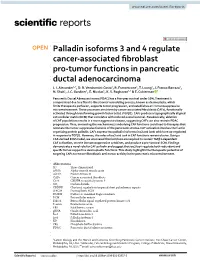 Palladin Isoforms 3 and 4 Regulate Cancer-Associated Fibroblast Pro
