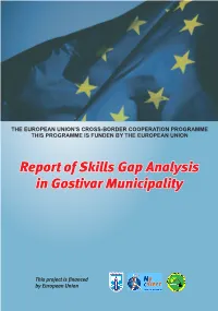 Skills Gap Analysis in the Gostivar Municipality