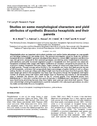 Studies on Some Morphological Characters and Yield Attributes of Synthetic Brassica Hexaploids and Their Parents