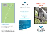 Buchan Birding Guide With