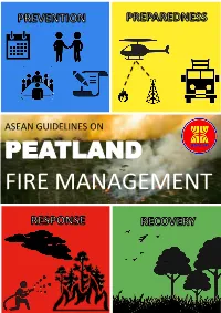 Fire Management