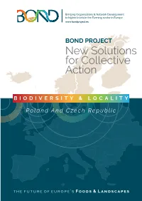 New Solutions for Collective Action