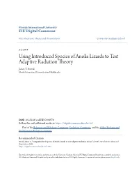 Using Introduced Species of Anolis Lizards to Test Adaptive Radiation Theory James T