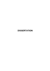 Dissertation