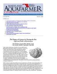 The Future of Oysters in Chesapeake Bay Different Paths to Restoration