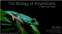 BOA1.2 Introduction of Amphibians.Key