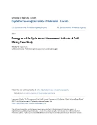 Emergy As a Life Cycle Impact Assessment Indicator a Gold Mining Case Study