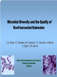 Microbial Diversity in Rainwater Harvesting Systems: Towards an Understanding of Tank Water Quality