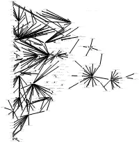 The Mathematical Descendants of William Browder