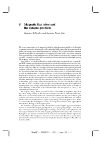 5 Magnetic Flux Tubes and the Dynamo Problem