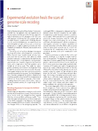Experimental Evolution Heals the Scars of Genome-Scale Recoding COMMENTARY Olivier Tenaillona,1