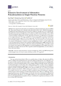 Extensive Involvement of Alternative Polyadenylation in Single-Nucleus Neurons