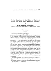 On the Structure of the Hairs of Mylodon Listai and Other South American Edentata