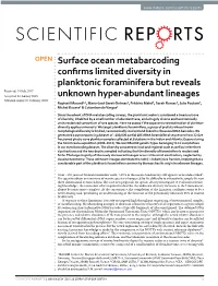 Surface Ocean Metabarcoding Confirms Limited Diversity in Planktonic Foraminifera but Reveals Unknown Hyper-Abundant Lineages