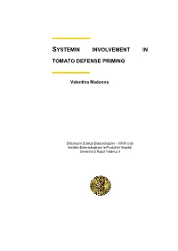 Systemin Involvement in Tomato Defense Priming