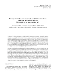 D Ecapod Crustaceans Associated with the Snakelock Anem One a Nem