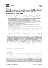 Early Detection and Identification of the Main Fungal Pathogens