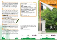 Historical Tree Trail
