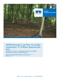 RBWM Borough Local Plan