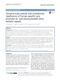 And Tetranucleotide Short Tandem Repeats N