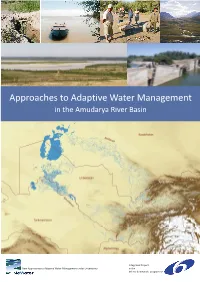 Approaches to Adaptive Water Management in the Amudarya River Basin