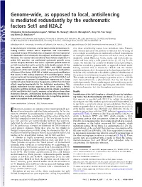 Genome-Wide, As Opposed to Local, Antisilencing Is Mediated Redundantly by the Euchromatic Factors Set1 and H2A.Z