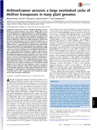 Helitronscanner Uncovers a Large Overlooked Cache of Helitron Transposons in Many Plant Genomes
