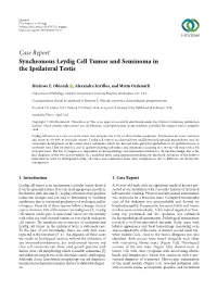 Synchronous Leydig Cell Tumor and Seminoma in the Ipsilateral Testis