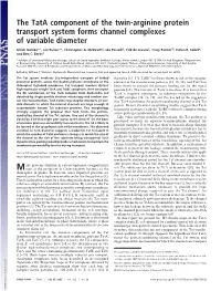 The Tata Component of the Twin-Arginine Protein Transport System Forms Channel Complexes of Variable Diameter