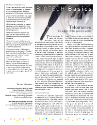BIOTECH Basics of Each Chromosome Are Repeating Sequences of DNA Known As Telomeres