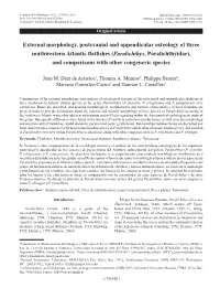 External Morphology, Postcranial and Appendicular Osteology of Three