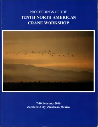 Proceedings 10.Pdf