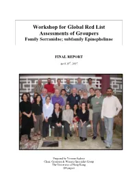 Workshop for Red List Assessments of Groupers