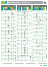 HOD1164 Biorad Mouse Poster A0 V2.Indd