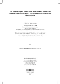 How Spiroplasma Ribosome-Inactivating