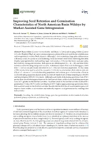 Improving Seed Retention and Germination Characteristics of North American Basin Wildrye by Marker-Assisted Gene Introgression