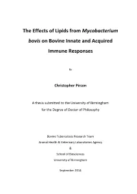 The Effect of Lipids from Mycobacterium Bovis on Bovine