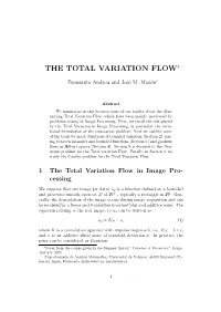 The Total Variation Flow∗