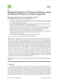 Tracing the Repertoire of Promiscuous Enzymes Along the Metabolic Pathways in Archaeal Organisms