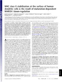 MHC Class II Stabilization at the Surface of Human Dendritic Cells Is the Result of Maturation-Dependent MARCH I Down-Regulation