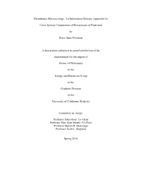 Disturbance Macroecology: an Information Entropy Approach For