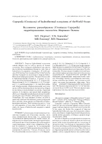 Copepoda (Crustacea) of Hydrothermal Ecosystems of Theworld Ocean