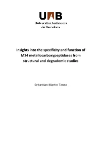Insights Into the Specificity and Function of M14 Metallocarboxypeptidases From