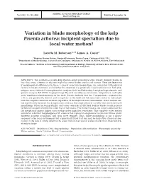 Variation in Blade Morphology of the Kelp Eisenia Arborea: Incipient Speciation Due to Local Water Motion?