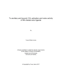 CO2 Activation and Redox Activity of NN