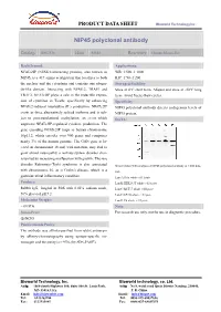 NIP45 Polyclonal Antibody
