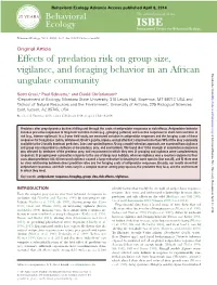 Effects of Predation Risk on Group Size, Vigilance, and Foraging Behavior In