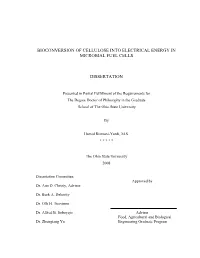 Hamid's Dissertation