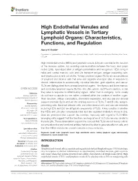High Endothelial Venules and Lymphatic Vessels in Tertiary Lymphoid Organs: Characteristics, Functions, and Regulation